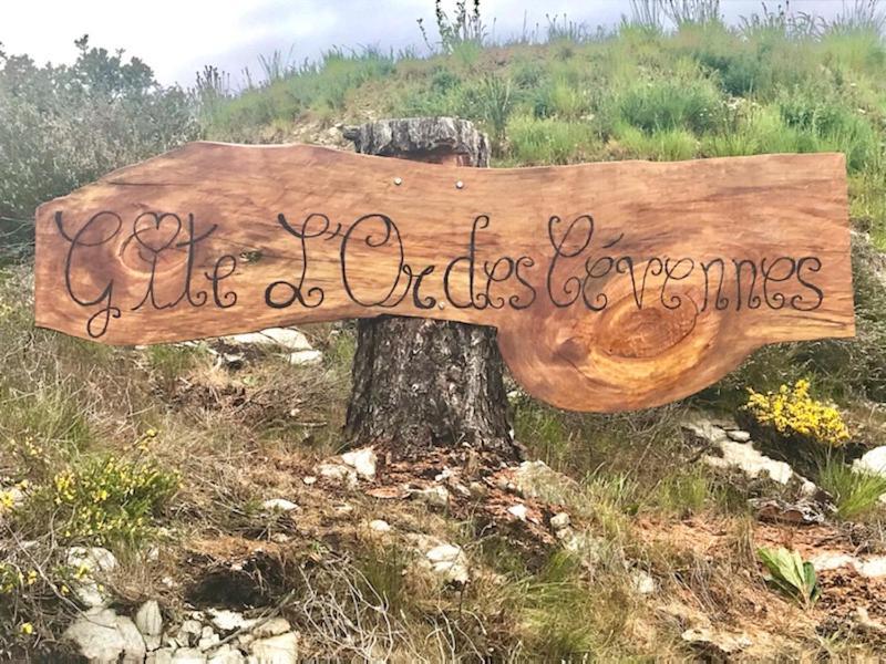 Gite L'Or Des Cevennes Saint-Andre-Capceze Kültér fotó