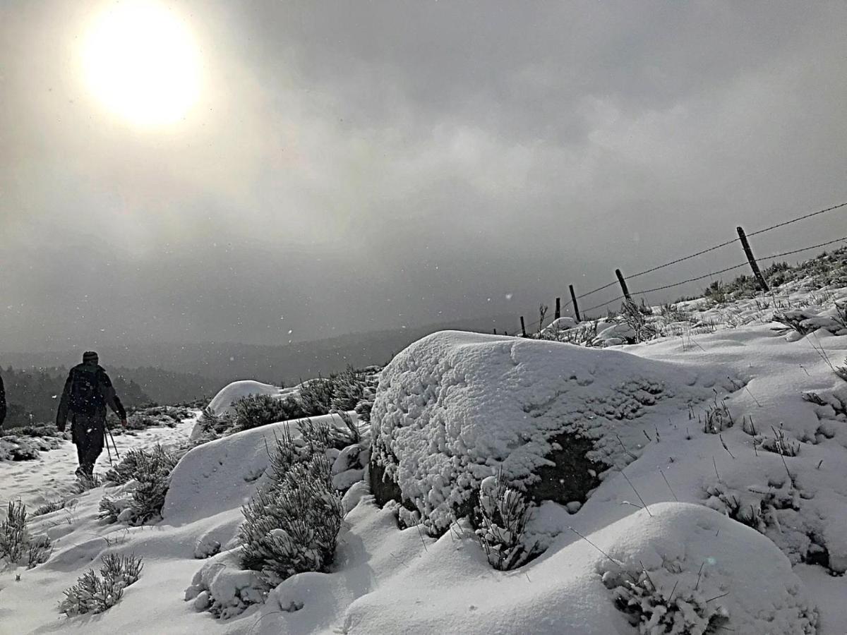 Gite L'Or Des Cevennes Saint-Andre-Capceze Kültér fotó