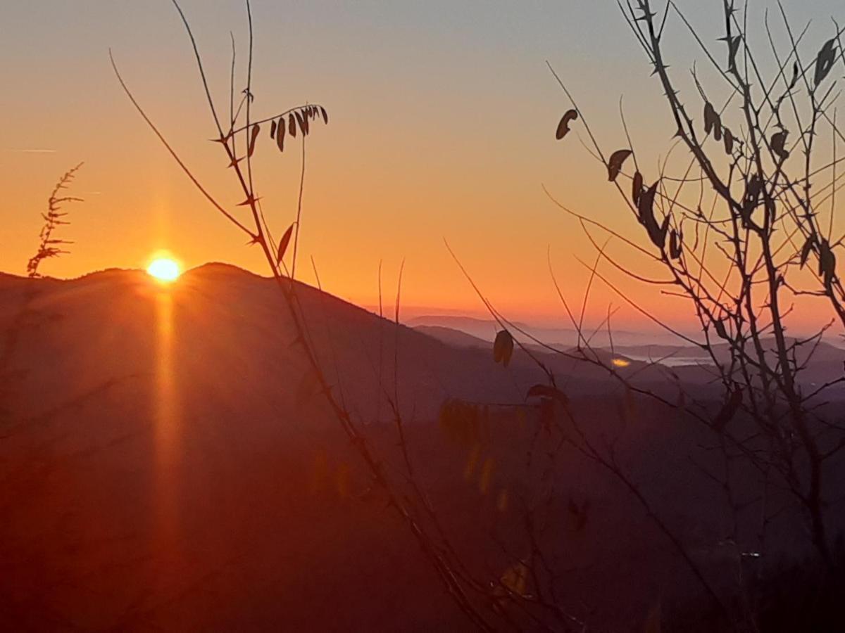 Gite L'Or Des Cevennes Saint-Andre-Capceze Kültér fotó