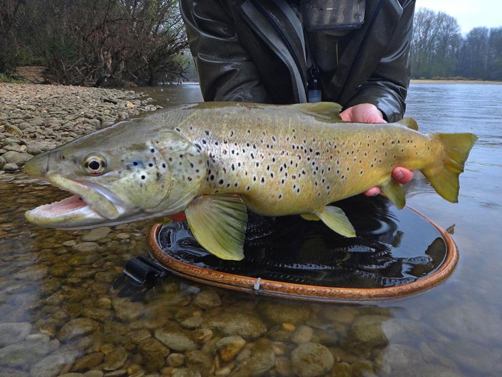 Gite L'Or Des Cevennes Saint-Andre-Capceze Kültér fotó