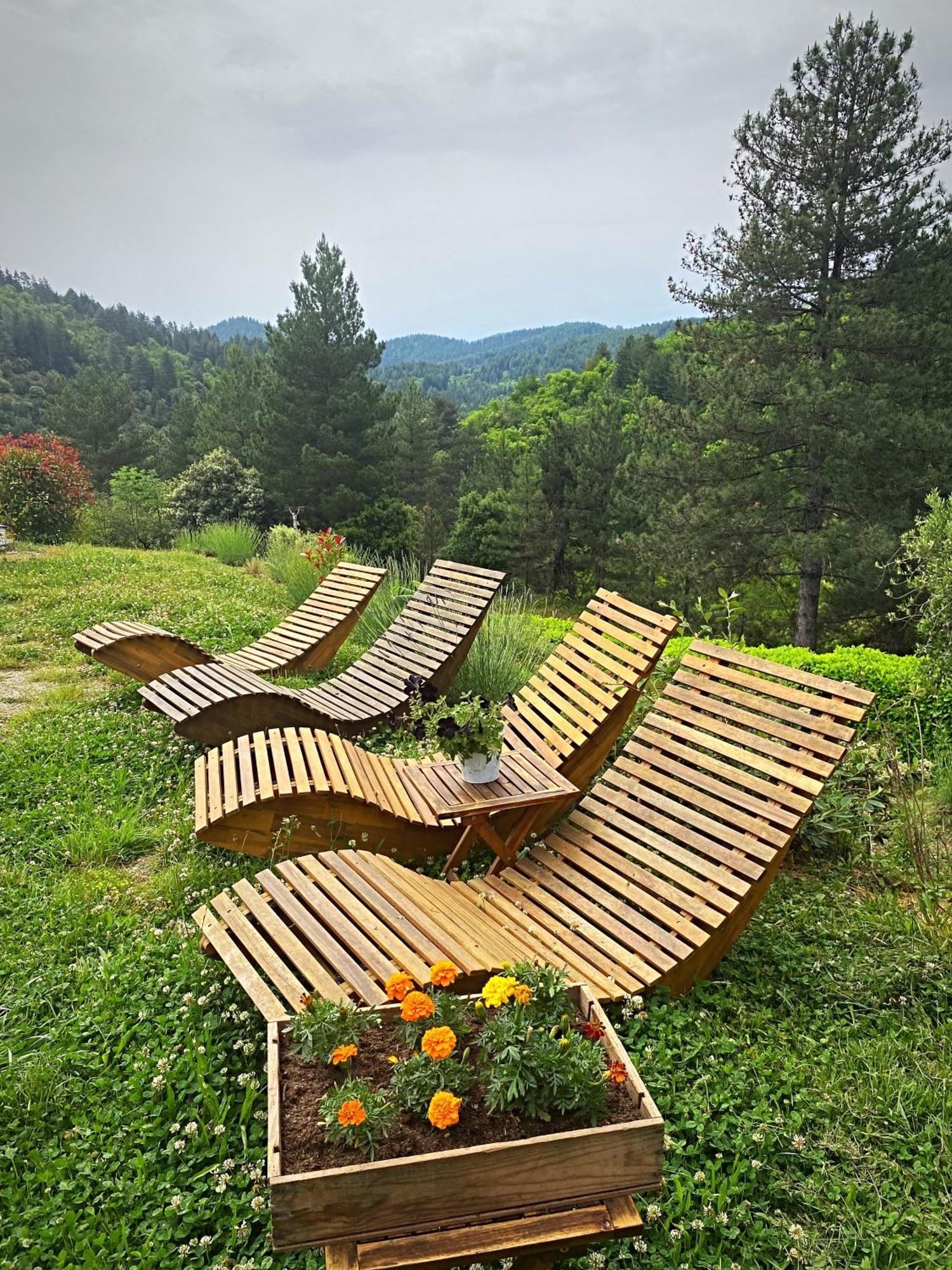 Gite L'Or Des Cevennes Saint-Andre-Capceze Kültér fotó