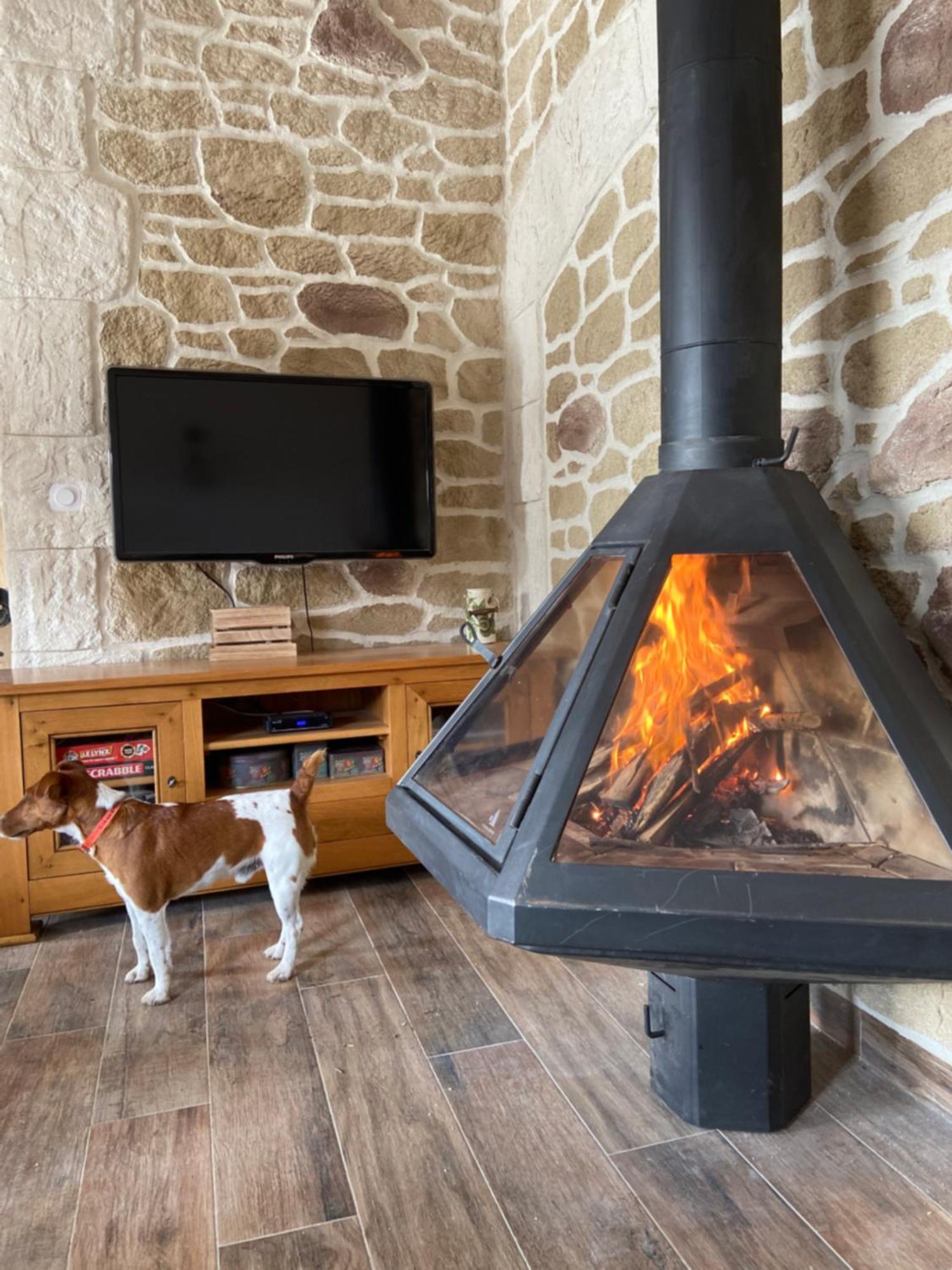 Gite L'Or Des Cevennes Saint-Andre-Capceze Kültér fotó
