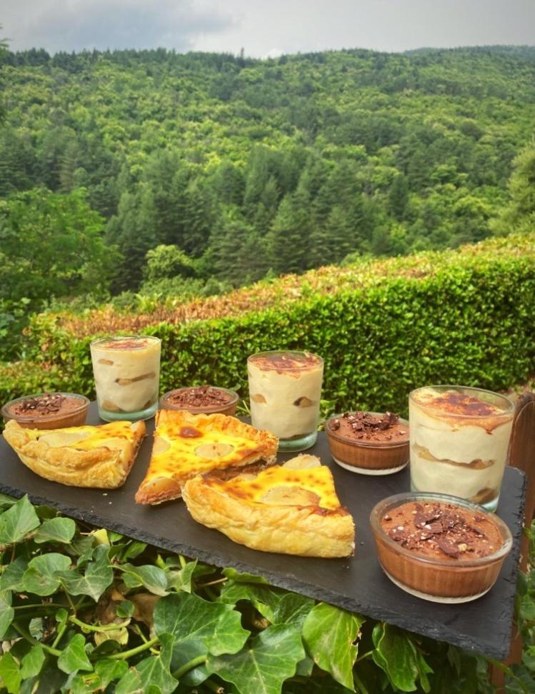 Gite L'Or Des Cevennes Saint-Andre-Capceze Kültér fotó