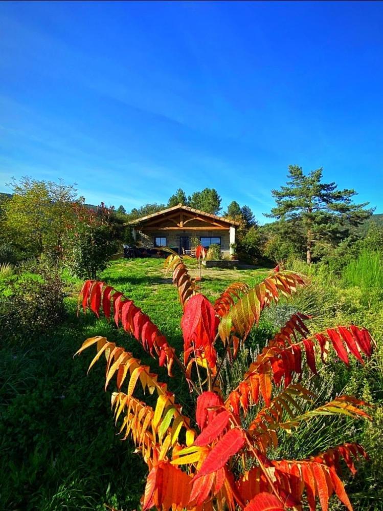 Gite L'Or Des Cevennes Saint-Andre-Capceze Kültér fotó